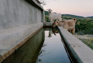 Ce este un baraj ecologic?