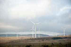 Ce sunt contractele de energie eoliană pe termen lung?