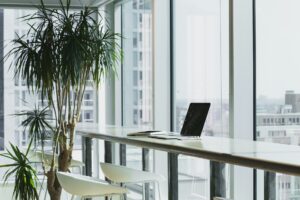 Economia socială: o cale cu sens pentru cei care vor un loc de muncă stabil